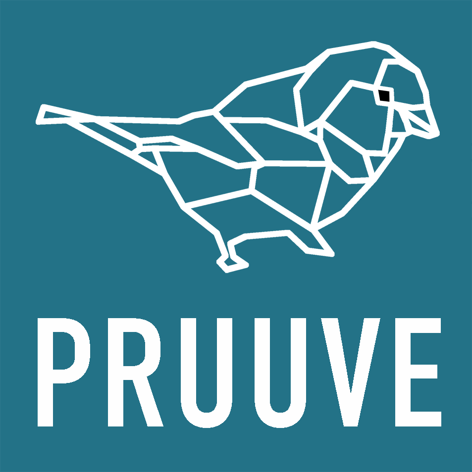 Projekt PRUUVE logo