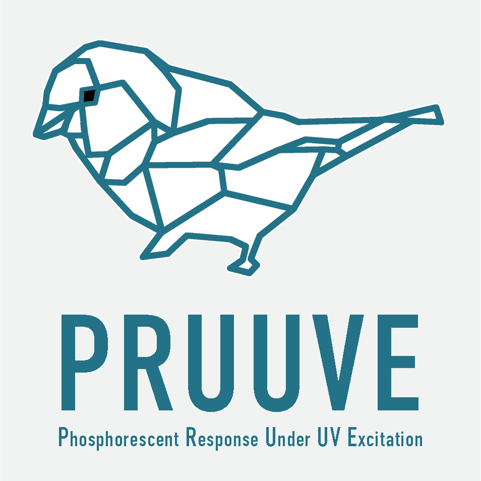 PRUUVE logo gedreht flipped